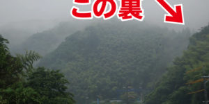 山林物件　山口県岩国市