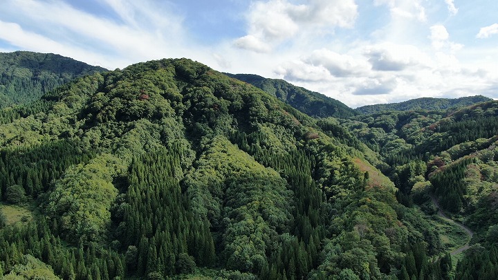 山林物件　秋田県横手市　南側対象地