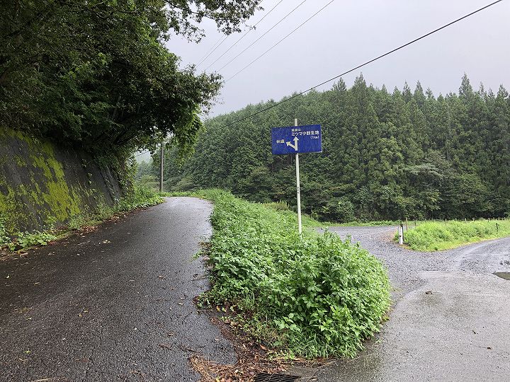 栃木県山林物件　公道