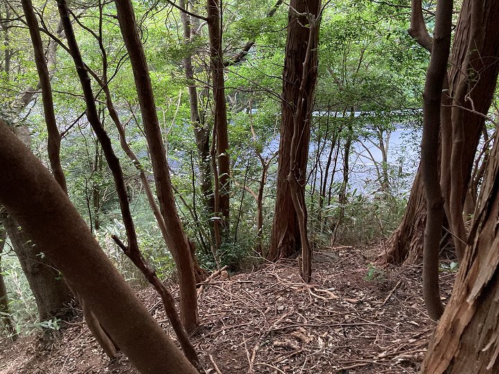 山林物件 静岡県熱海市　林内から見た接道