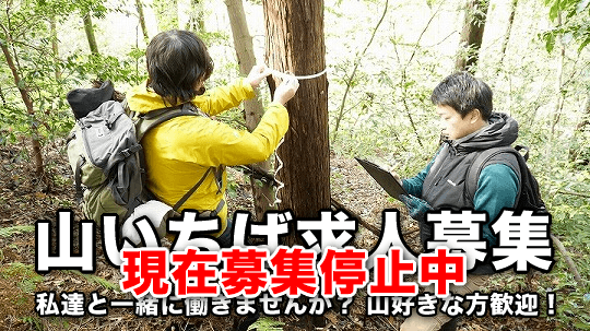 山いちば求人募集