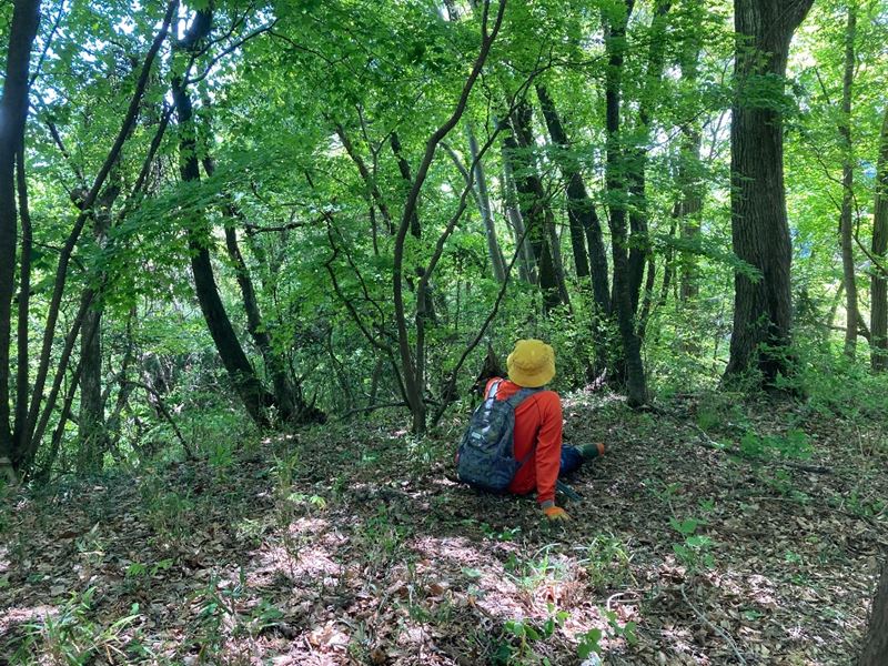 山林物件　宮城県伊具郡丸森町