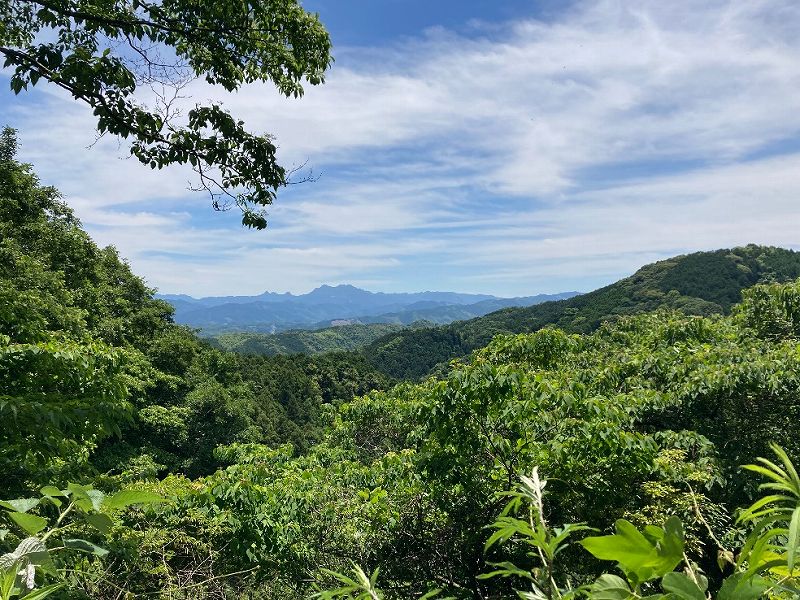 山林近隣からの眺望