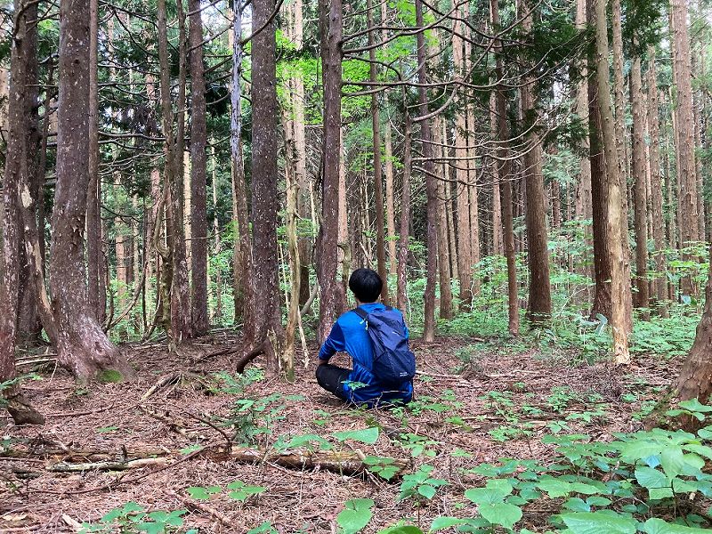 山林南部分の平坦地