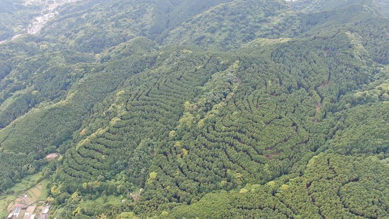 山林物件　静岡県賀茂郡河津町