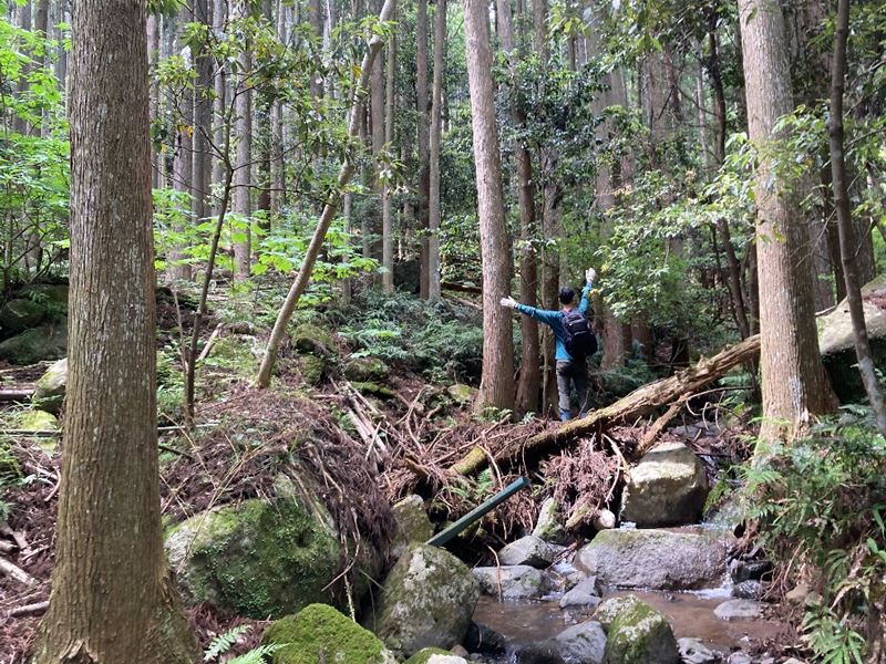 山林前面の沢