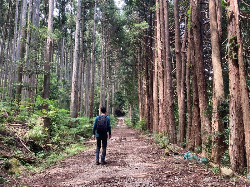 山林現地へ続く道