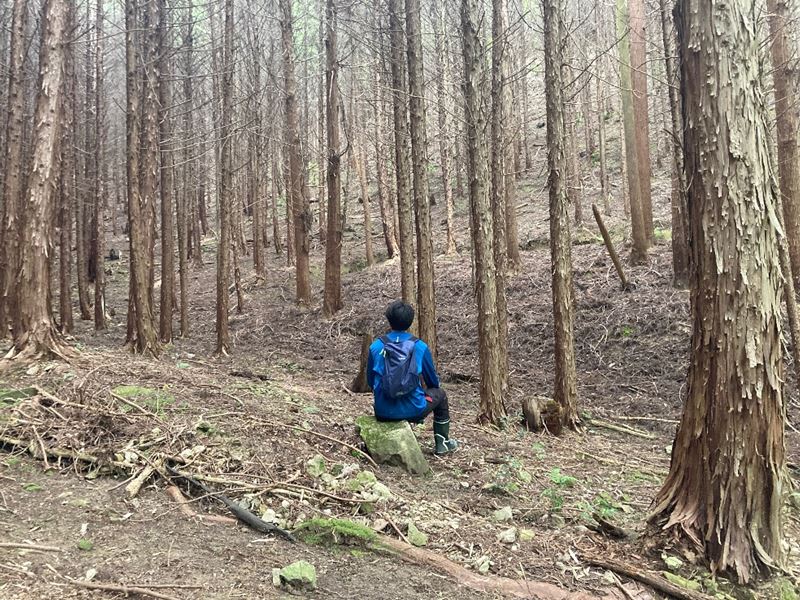 山林内平坦地