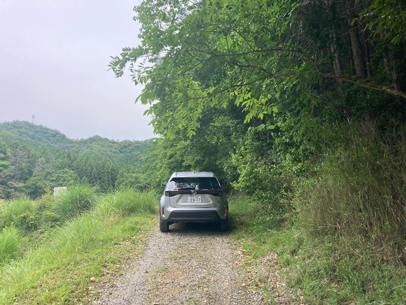 山林前面道路