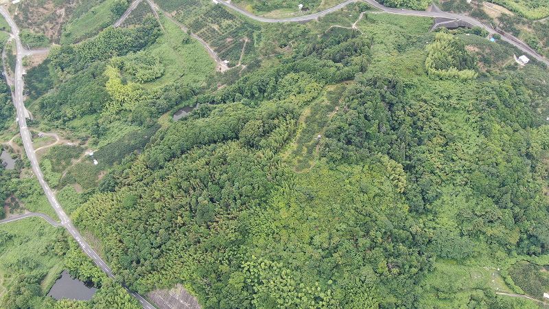 山林物件　和歌山県伊都郡九度山町