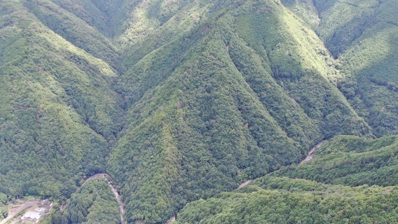 山林物件　和歌山県橋本市北宿