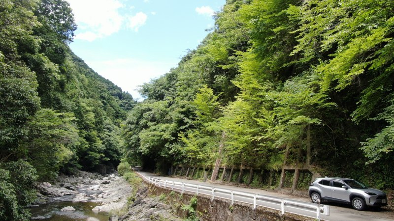 山林前面道路