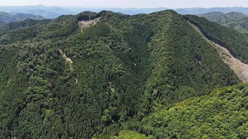 山林遠景