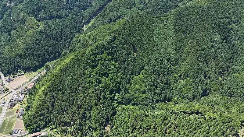 山林物件　京都市右京区京北下宇津町