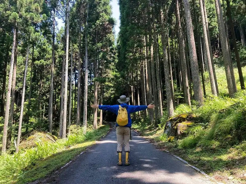 山林前面道路