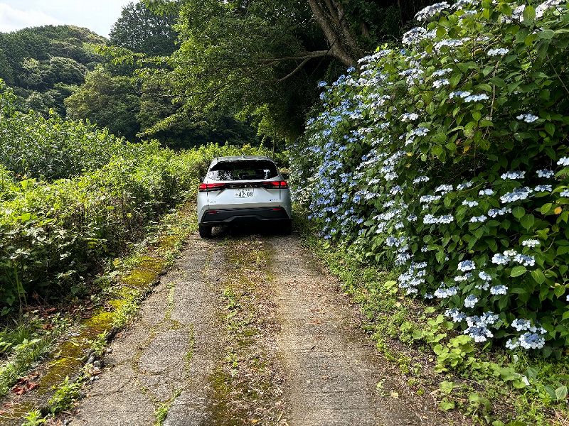 山林現地への道