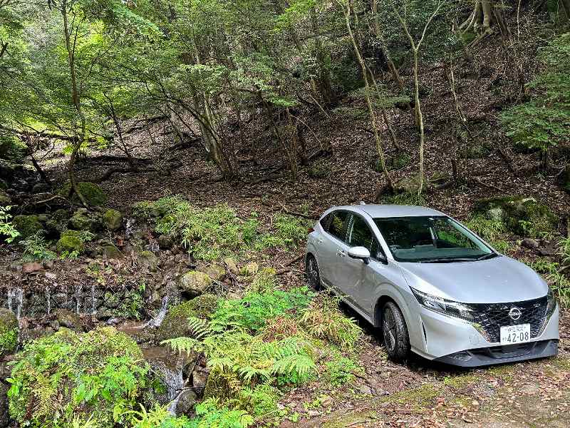 山林内前面道路