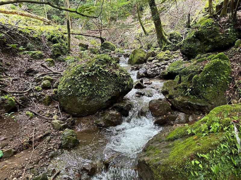 山林境界の沢