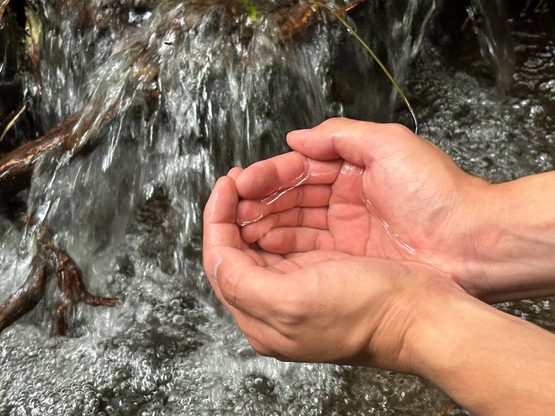 山林境界の水を汲む