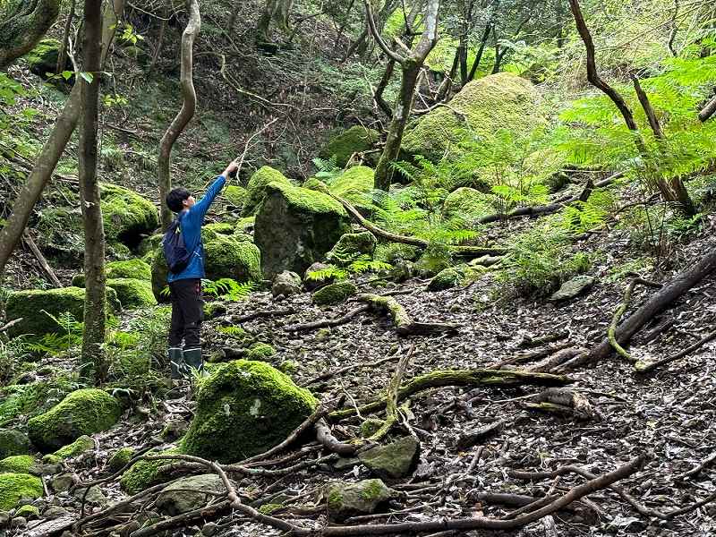 山林物件　静岡県下田市北湯ケ野