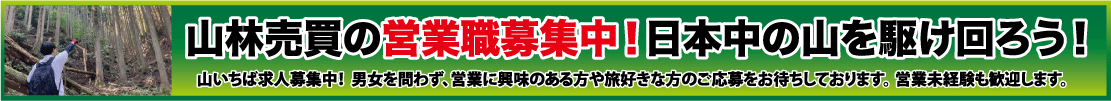 山いちば求人募集