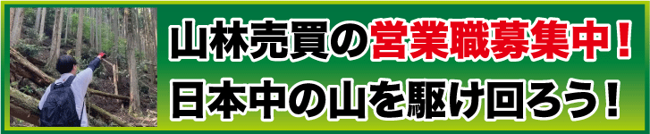 山いちば求人募集