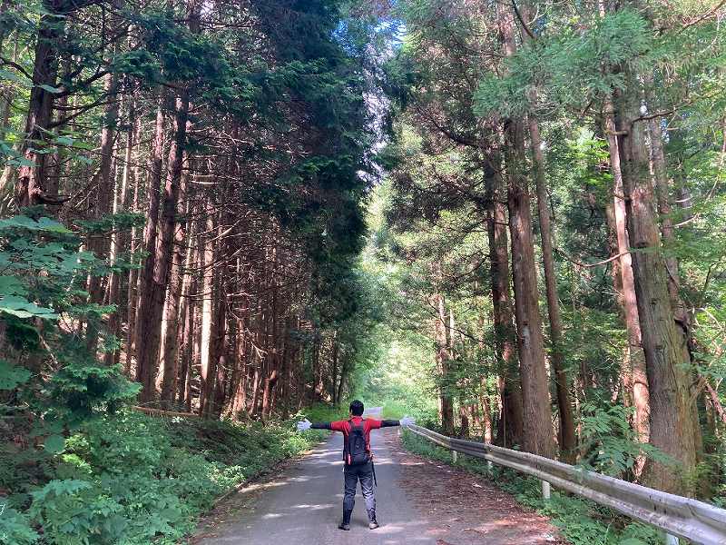 山林対象地の道路