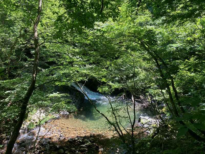 山林対象地に面する滝