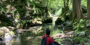 山林物件　岐阜県高山市丹生川町