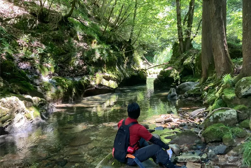 山林物件　岐阜県高山市丹生川町