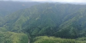 山林物件　京都府南丹市美山町