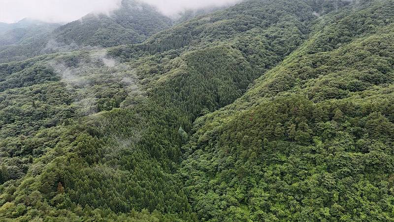 山林物件　仙台市青葉区新川