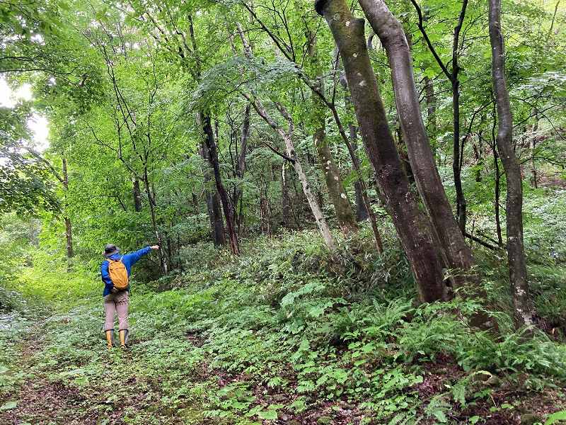 山林東部分の里道