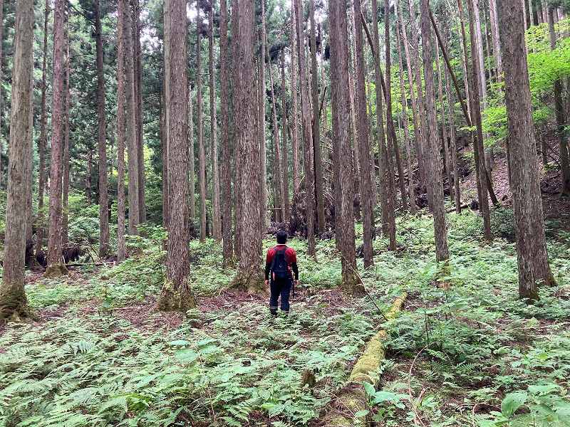 山林内平坦地