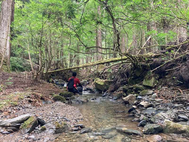 山林内を通る沢