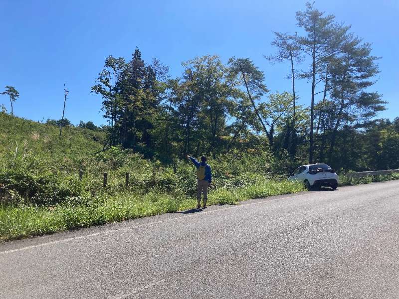 山林の進入路