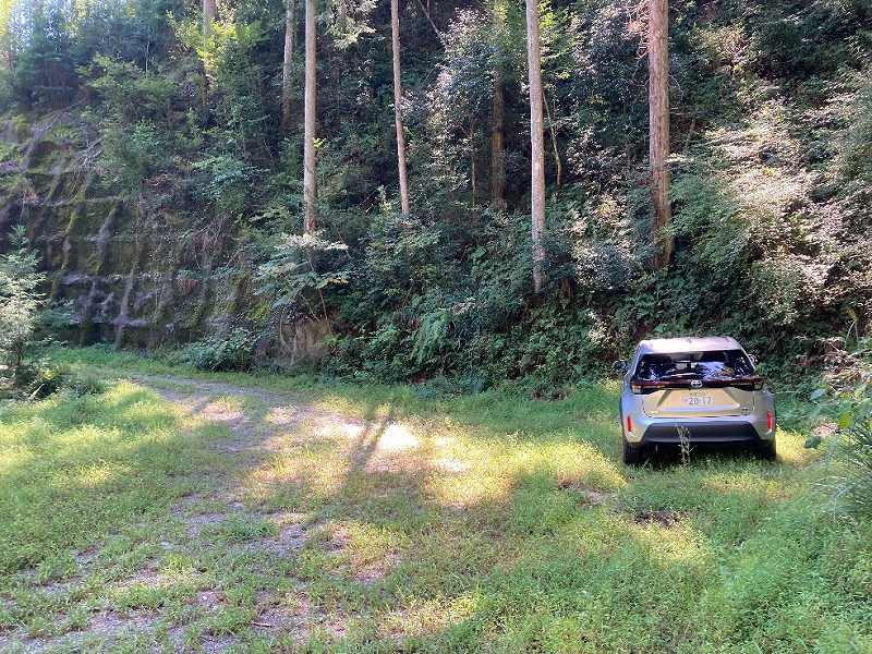 山林前面道路