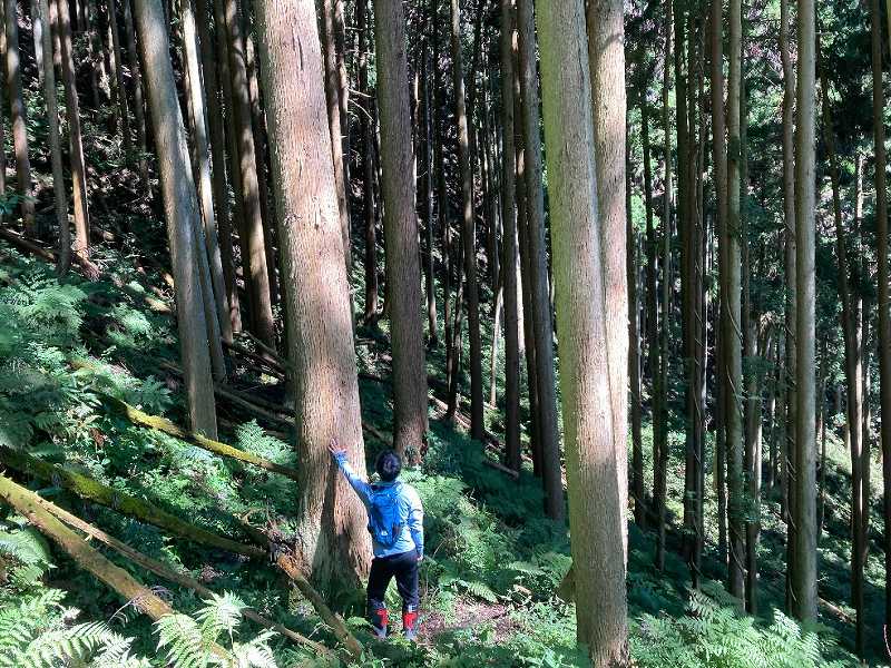 山林物件　岐阜県賀茂郡八百津町