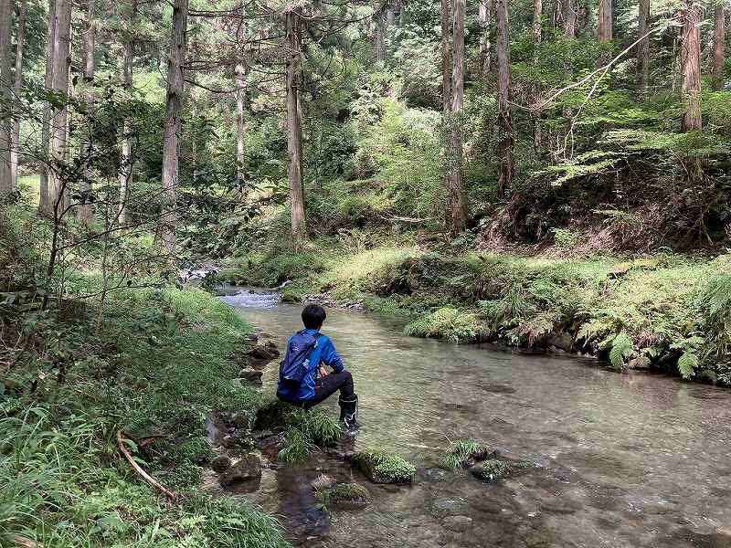 山林前面の沢