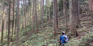 山林物件　岐阜県山県市日永