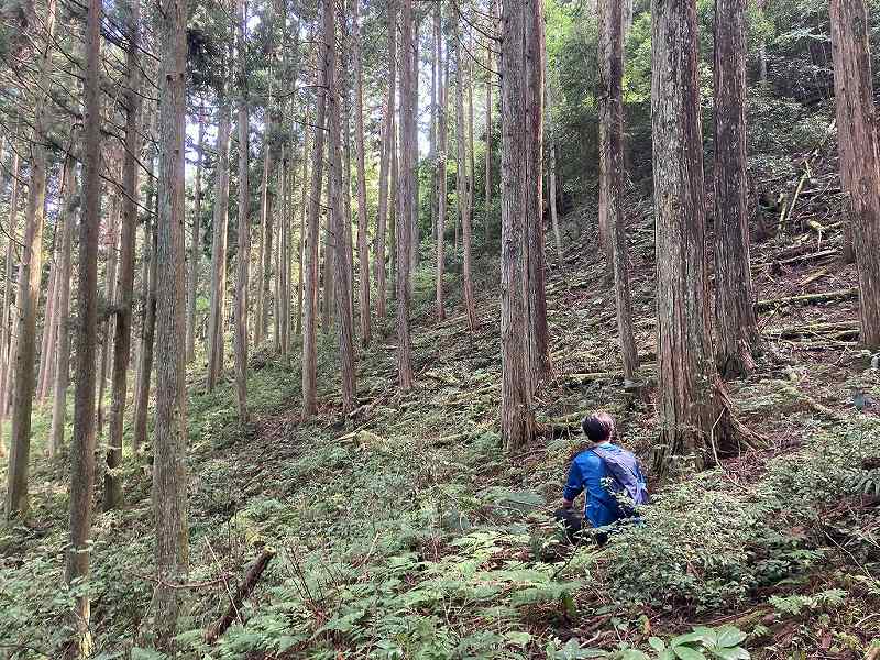 山林物件　岐阜県山県市日永