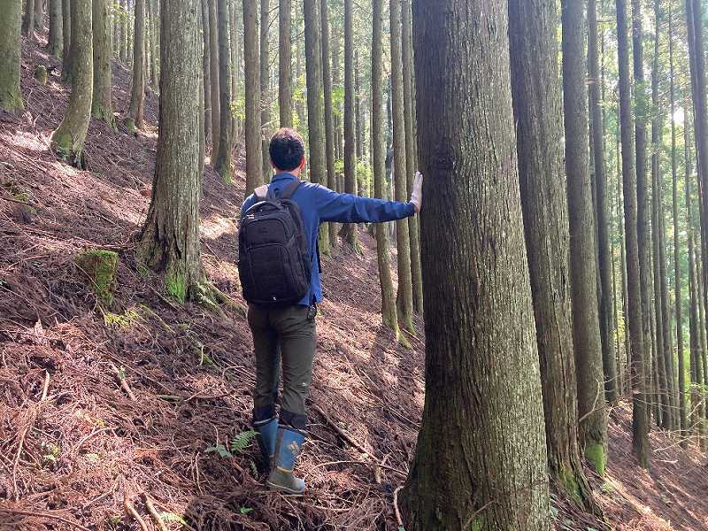 山林物件　山梨県南巨摩郡南部町