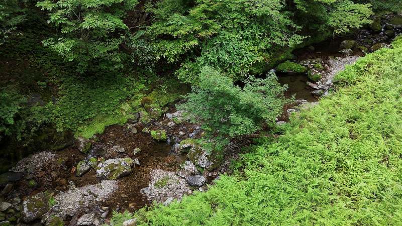 山林近くの川