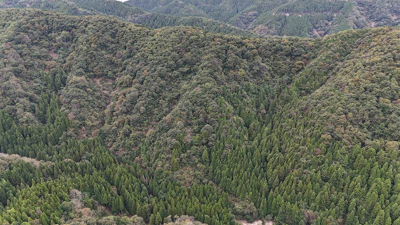 山林物件　福井県南条郡南越前町