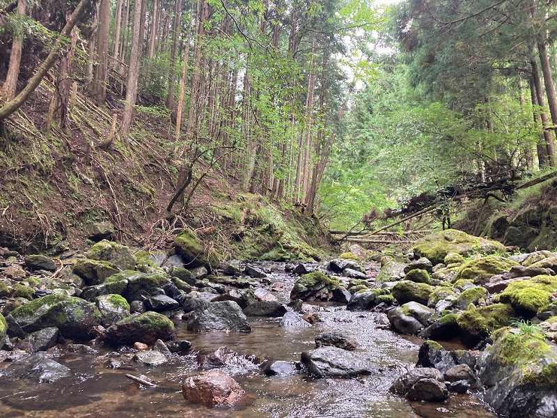 山林全面対象地