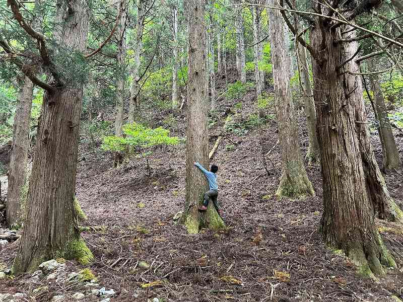 山林内平坦地