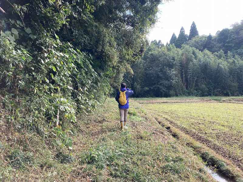 山林西境界沿いの里道