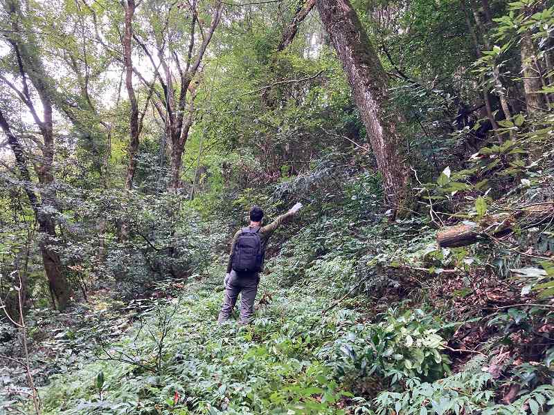 山林対象地に面する里道