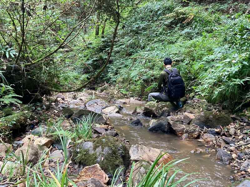 山林対象地前面の沢