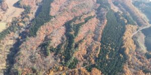 山林物件　岩手県和賀郡西和賀町②